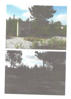 DocScan (5)98